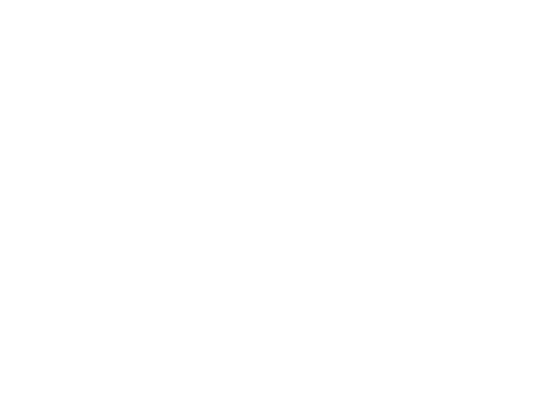 Füllmi